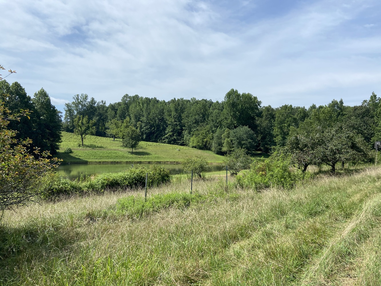 +90.27 Acres Keeler Mill Road Tract Huff Creek Properties