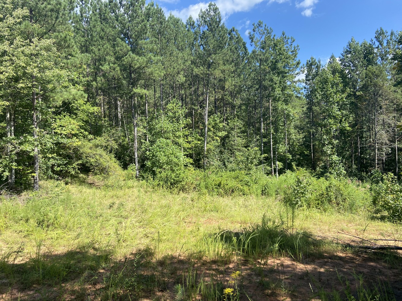 +-112.24 Acres - McCarson Road Tract - Huff Creek Properties