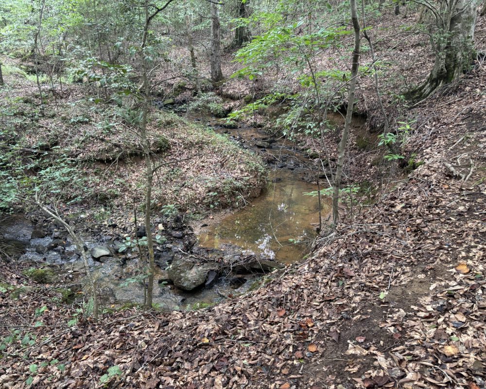 1609 holiday dam 2 (10)