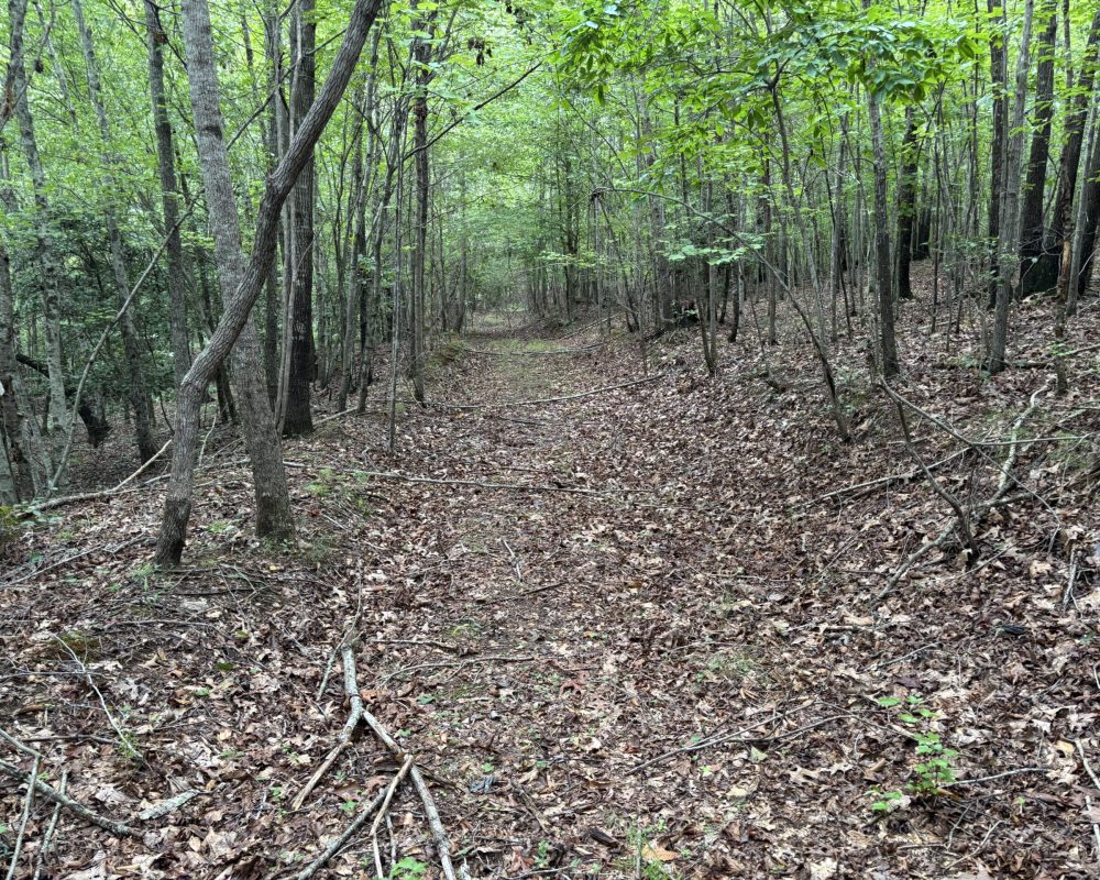 1609 holiday dam 2 (11)