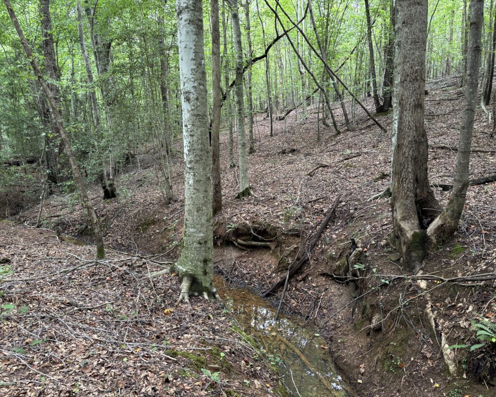 1609 holiday dam 2 (3)