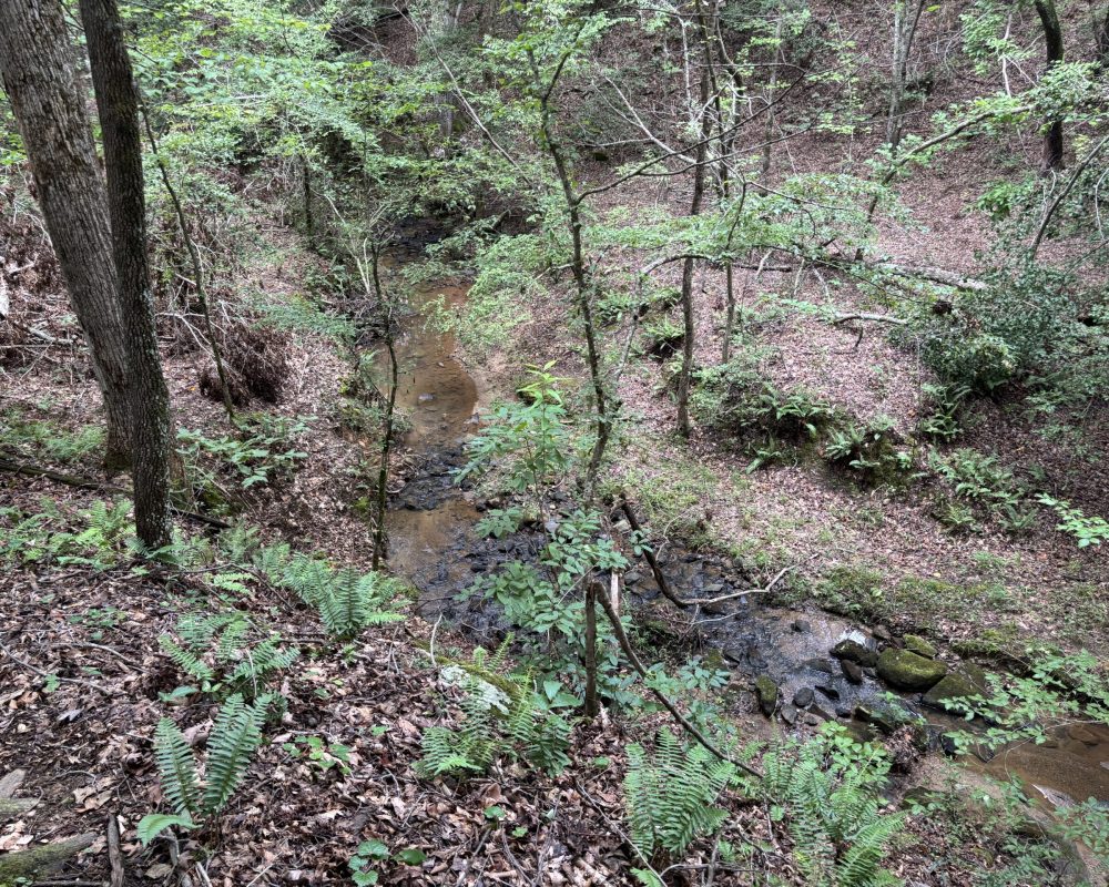 1609 holiday dam 2 (4)