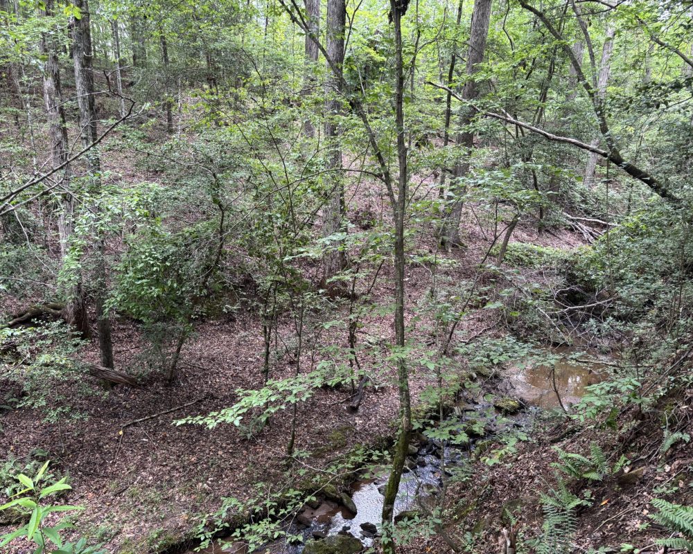 1609 holiday dam 2 (5)