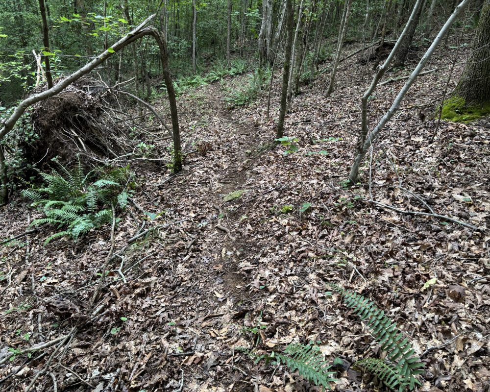 1609 holiday dam 2 (6)