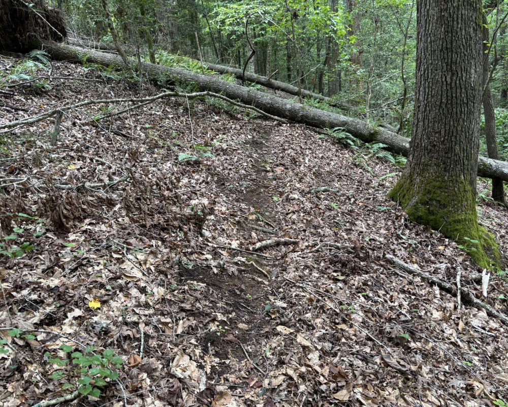 1609 holiday dam 2 (7)
