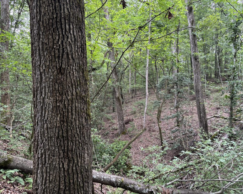 1609 holiday dam 2 (8)