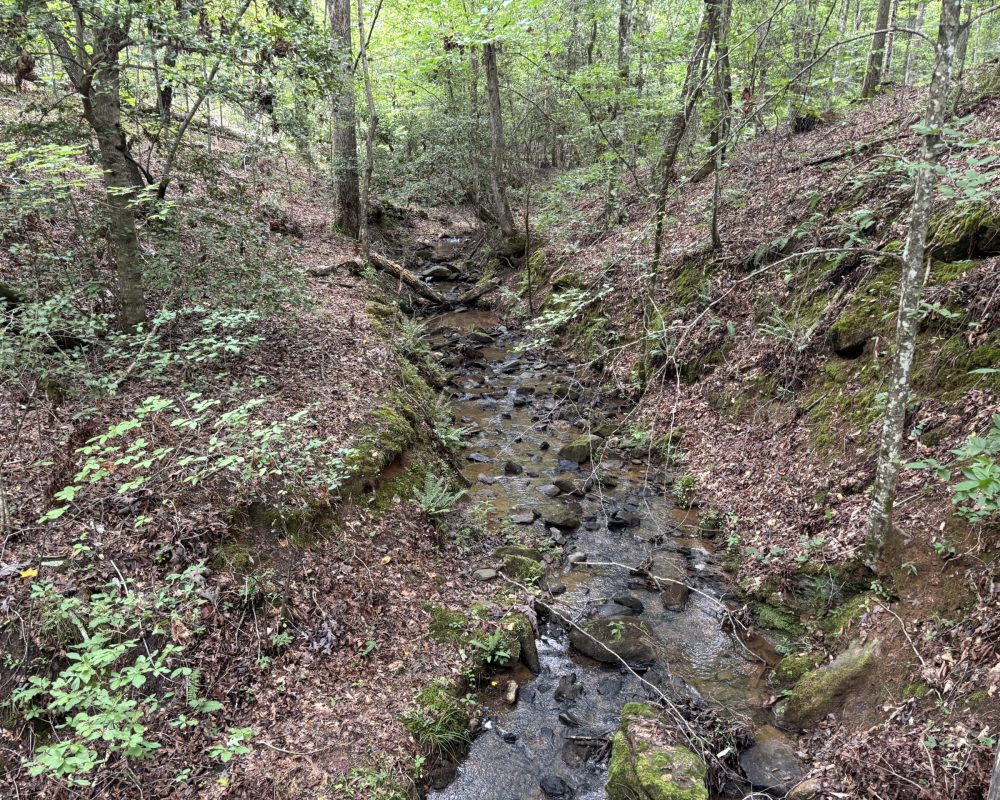 1609 holiday dam 2 (9)