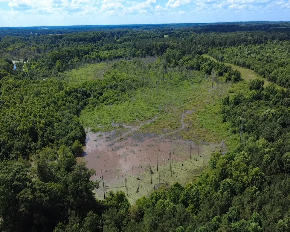 Beaver Dam Creek (2)
