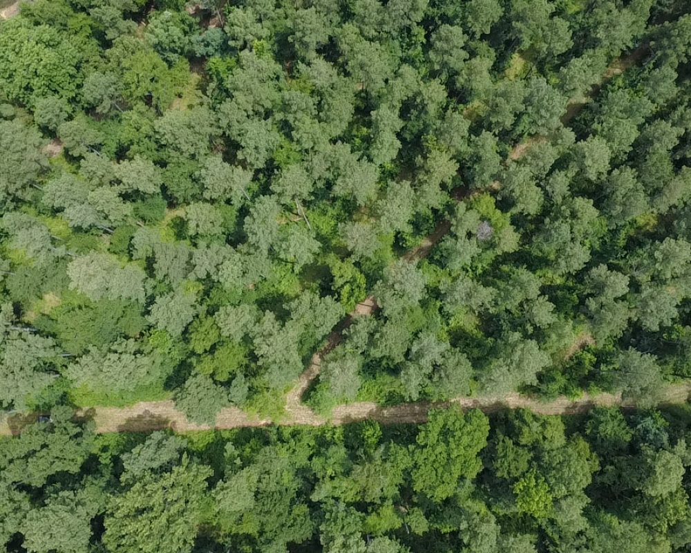 Beaver Dam Drone (1)