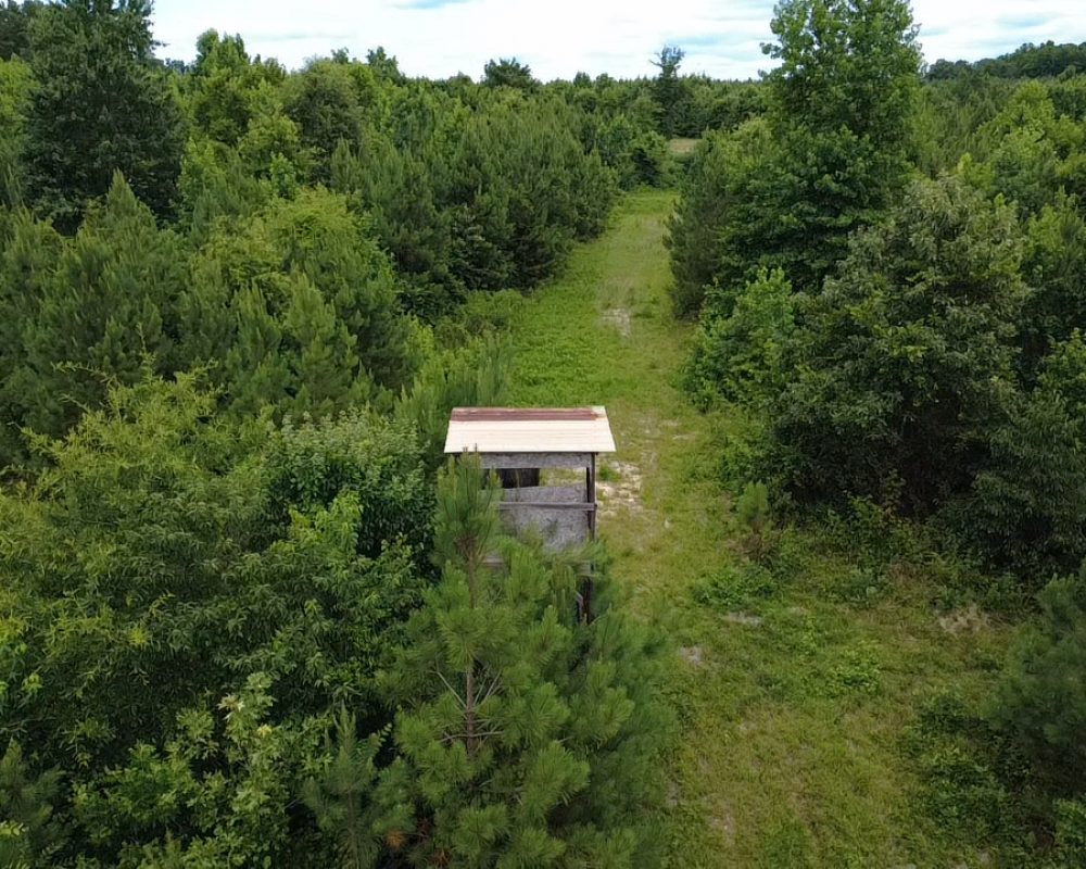 Beaver Dam Drone (6)
