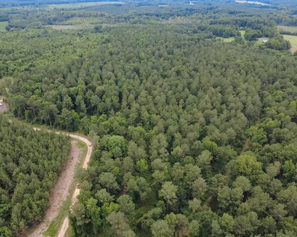 Beaver Dam Drone (8)