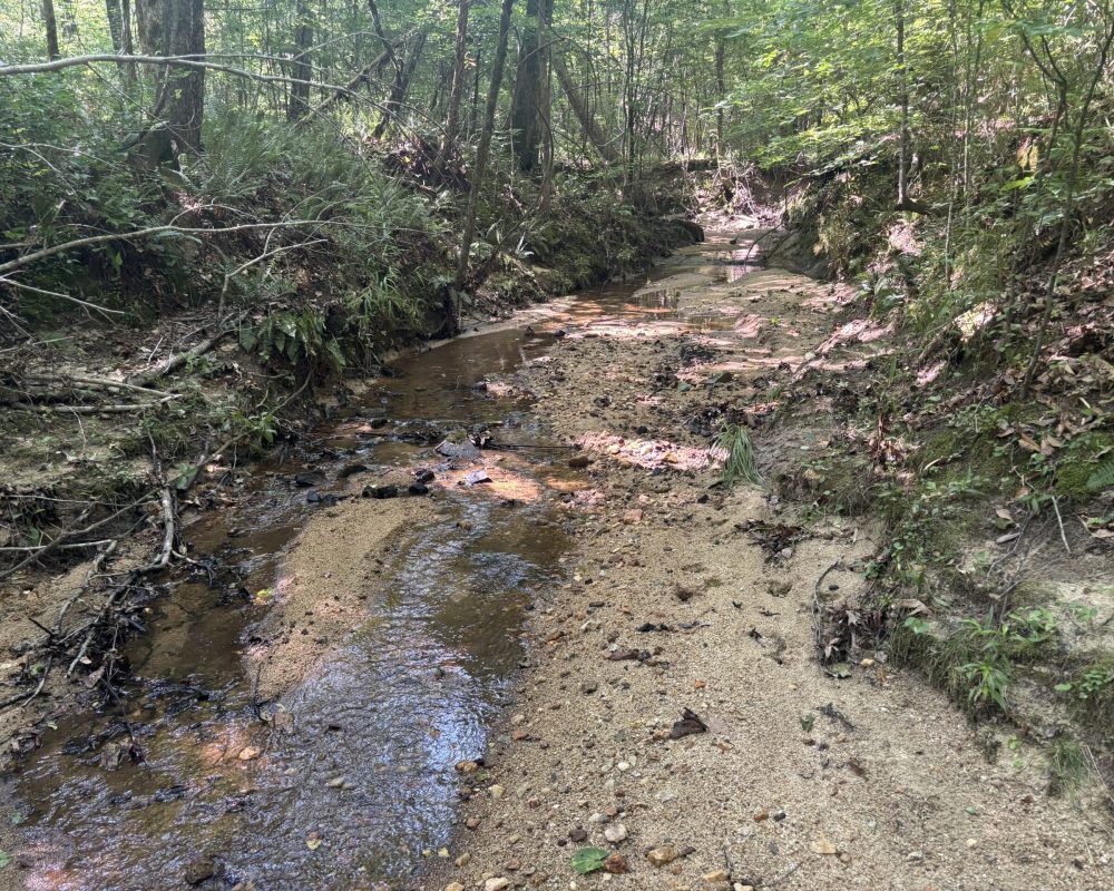 Calhoun Falls (14)