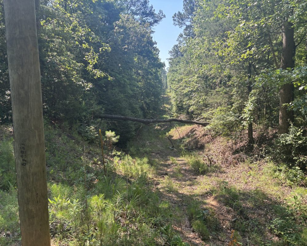 Calhoun Falls (15)