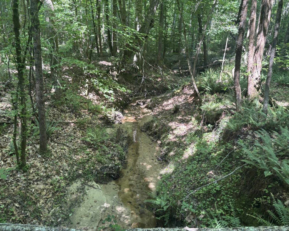 Calhoun Falls (22)