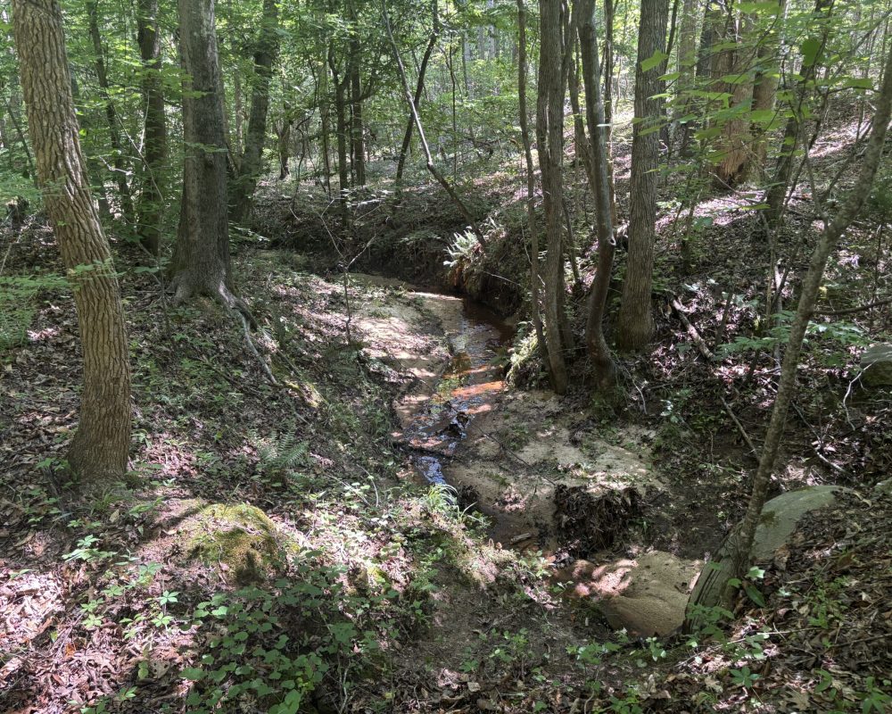 Calhoun Falls (23)