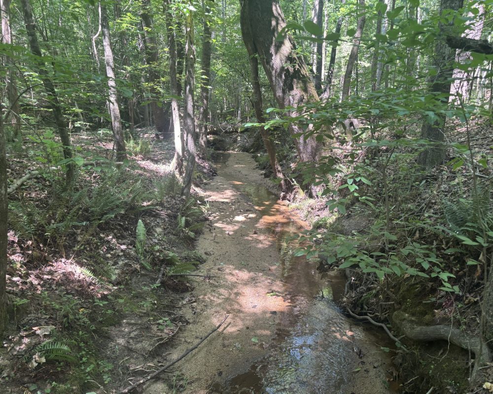 Calhoun Falls (26)
