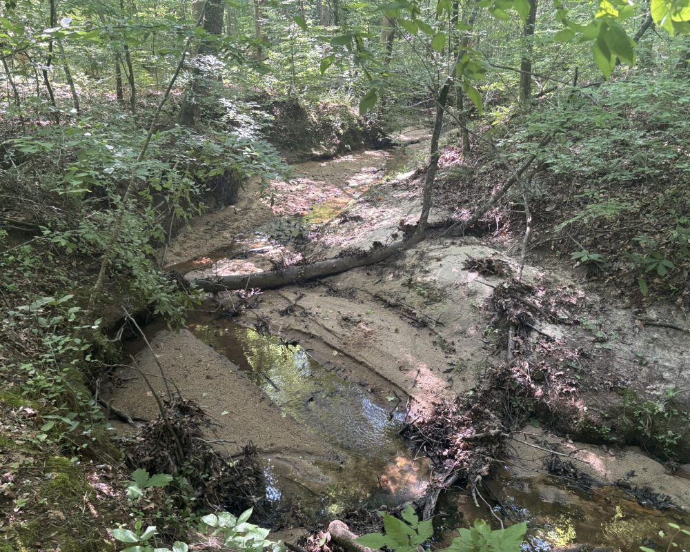 Calhoun Falls (6)