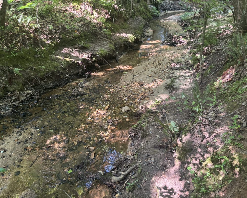 Calhoun Falls (7)