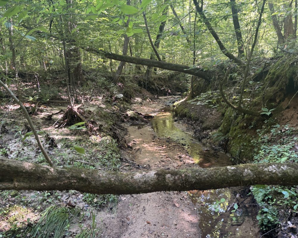 Calhoun Falls (8)
