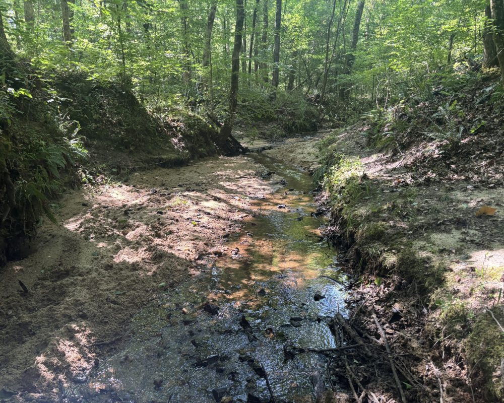 Calhoun Falls (9)