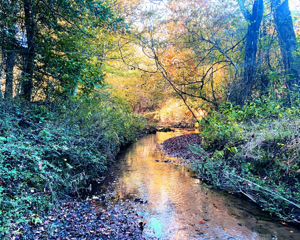 Craigo Road, Fountain Inn