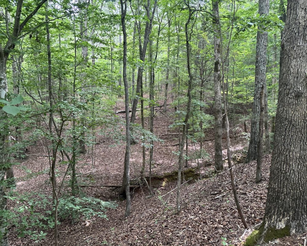 Elford (10)