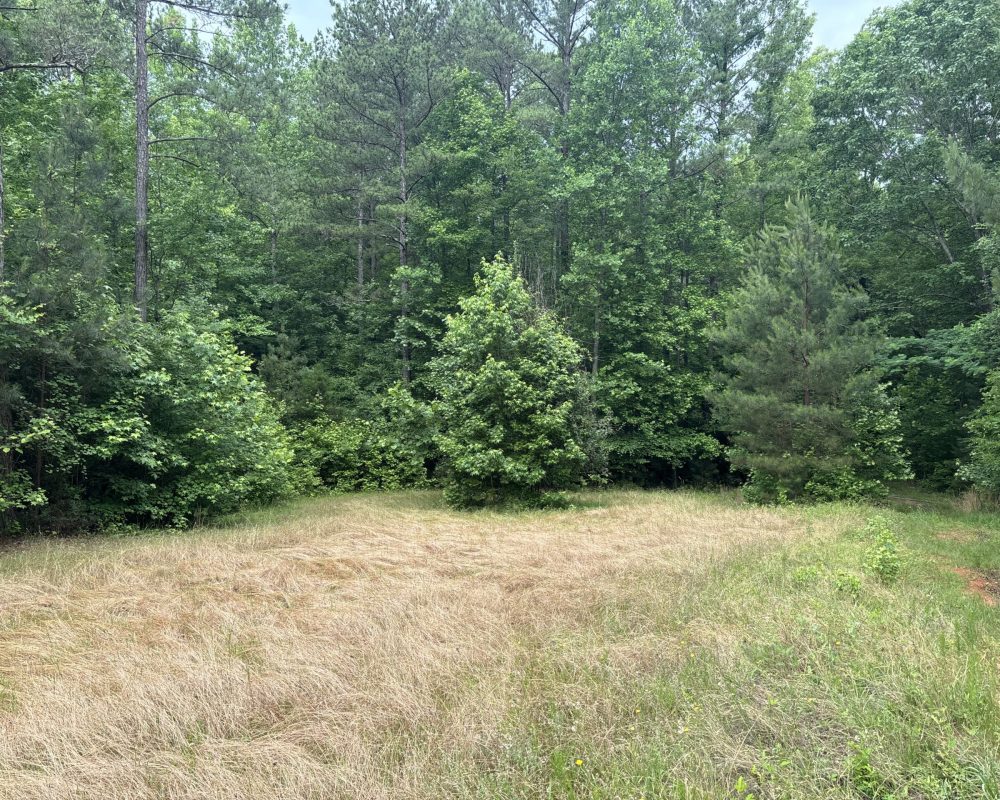 Elford (13)