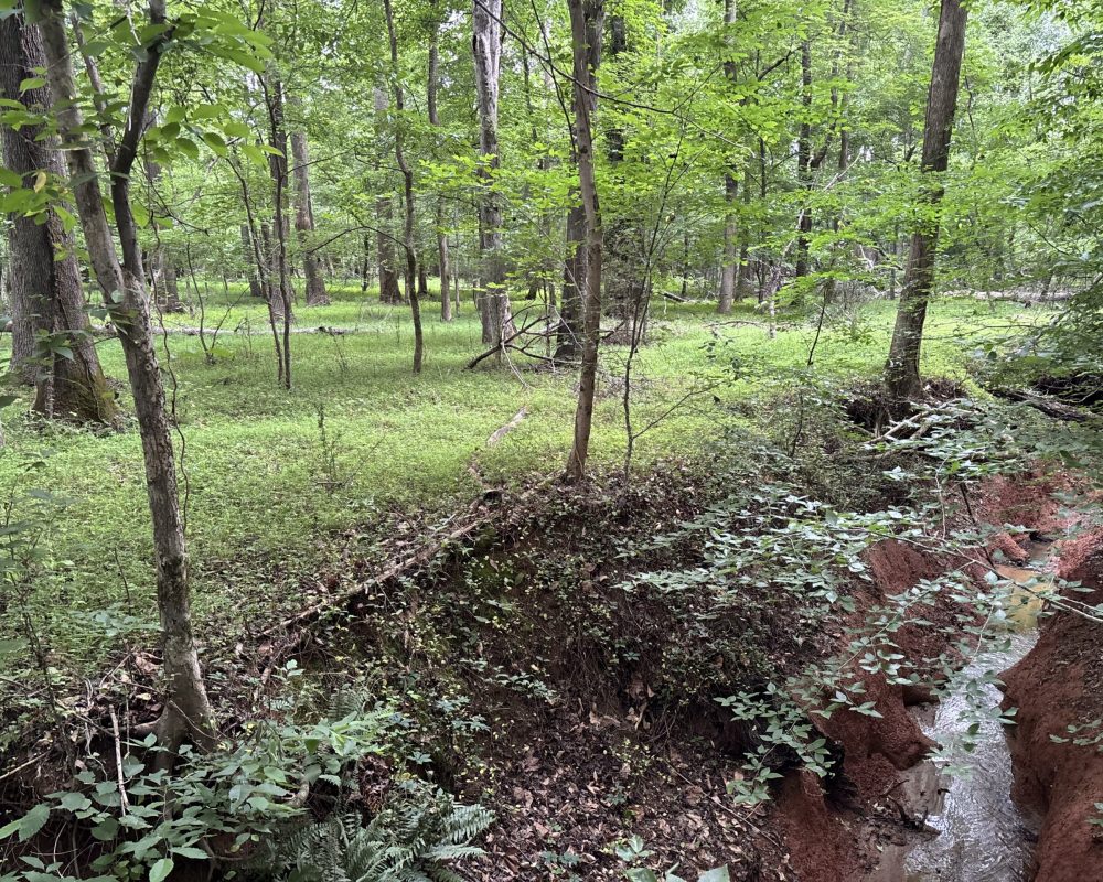 Elford (23)