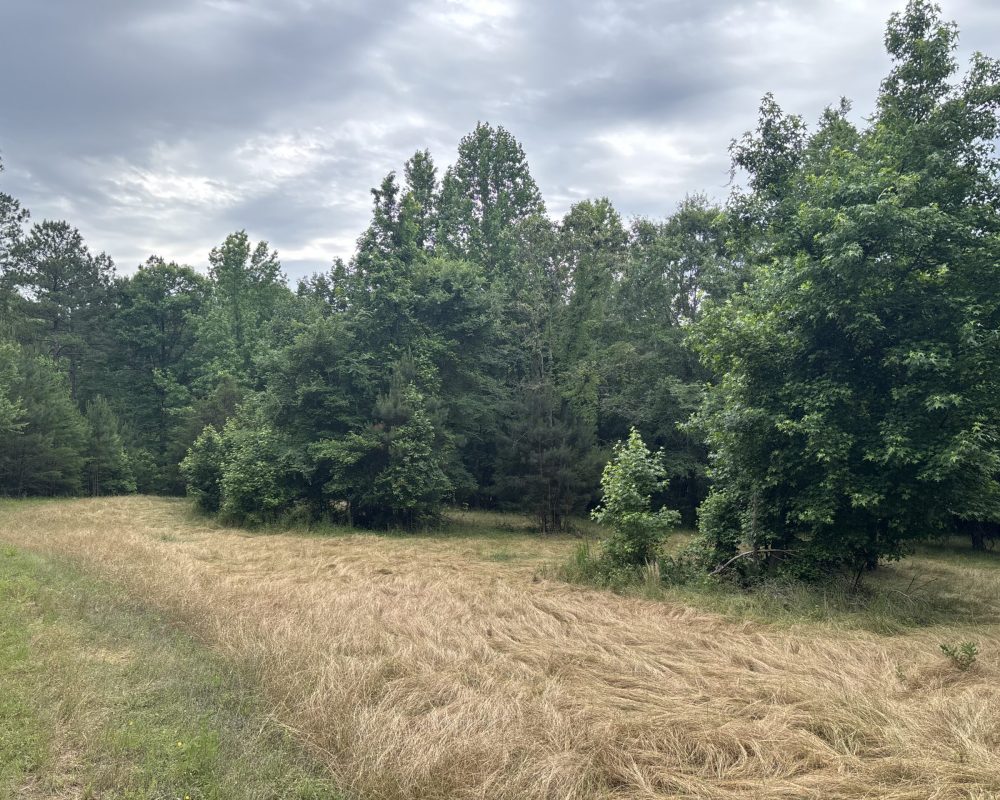 Elford (25)