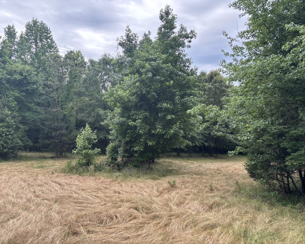 Elford (26)