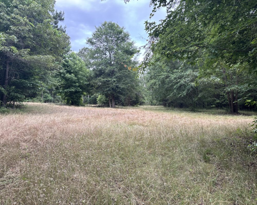 Elford (27)