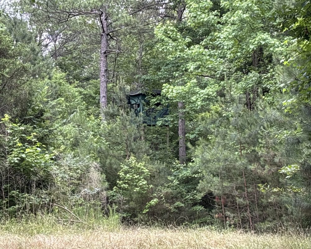 Elford (28)