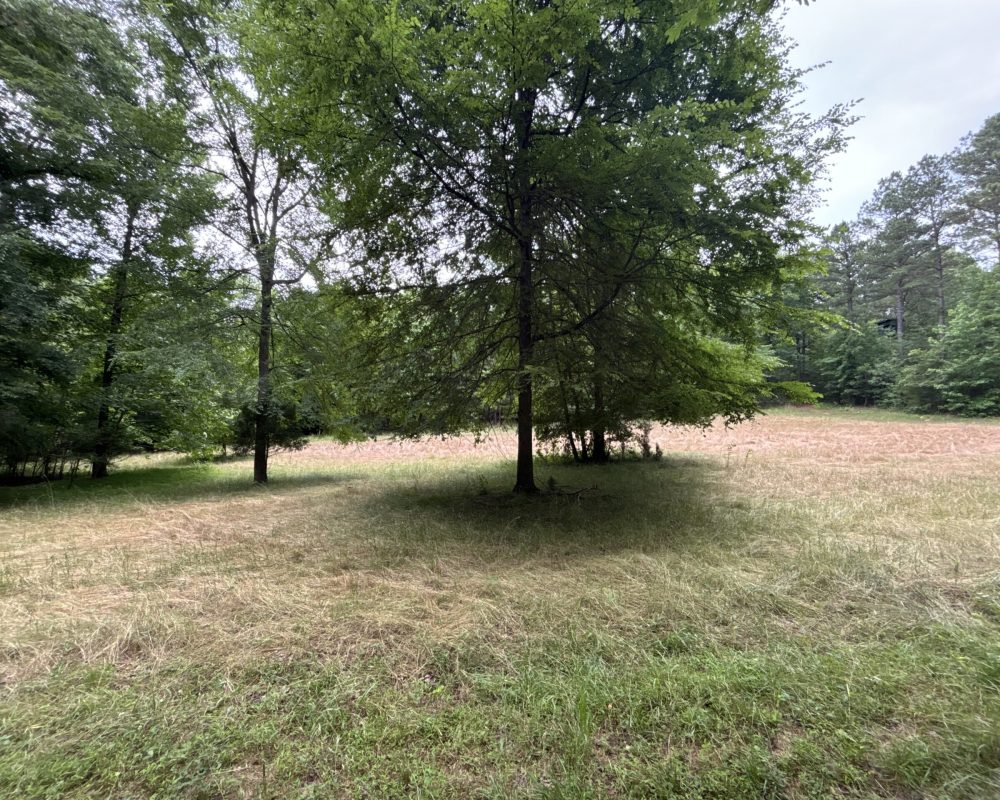 Elford (29)