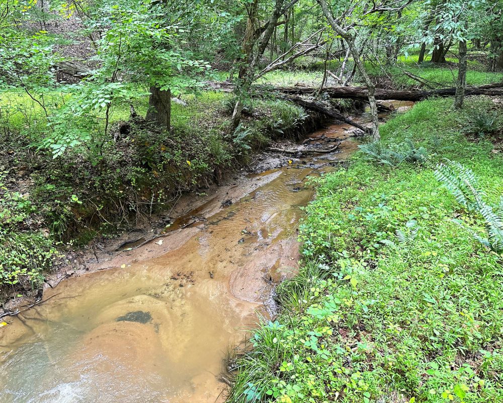 Elford (33)