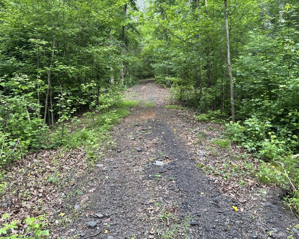 Elford (35)
