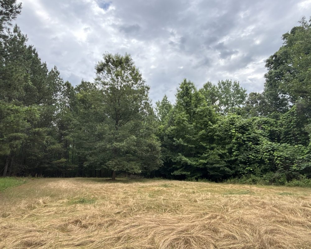 Elford (42)
