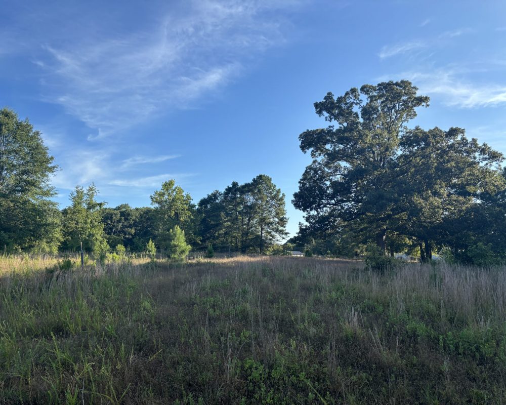 Holiday Dam (15)