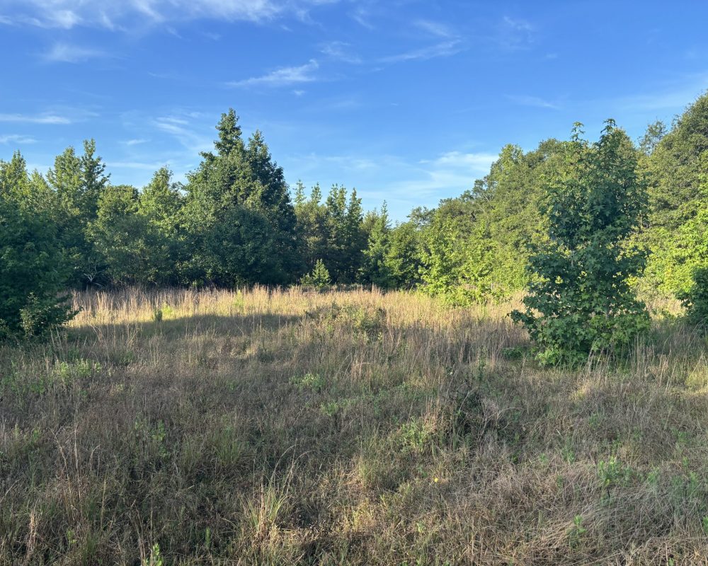 Holiday Dam (16)