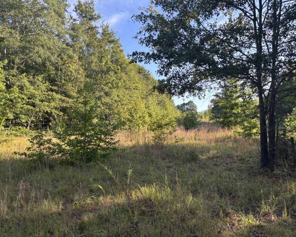 Holiday Dam (18)