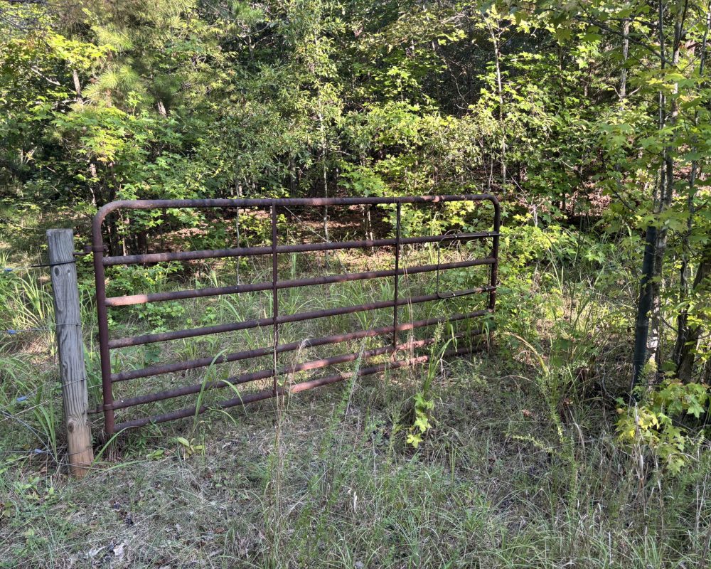 Holiday Dam (20)