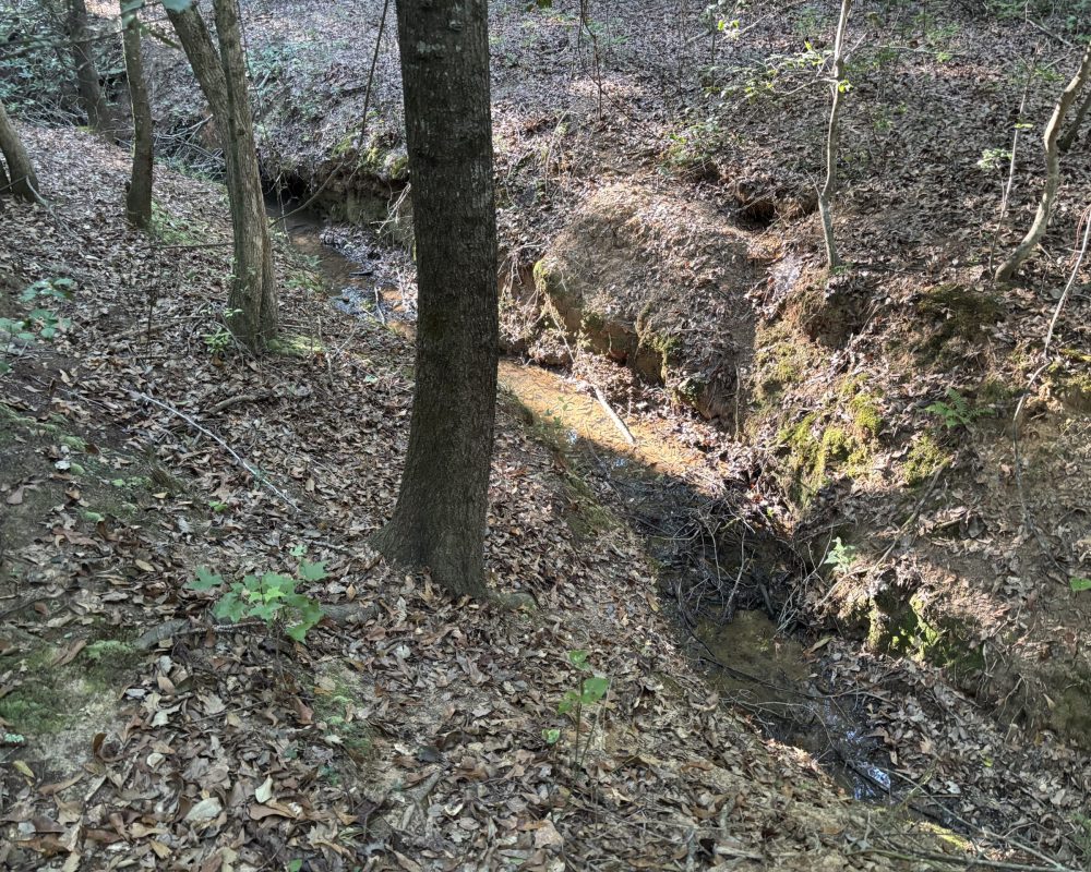 Holiday Dam (22)