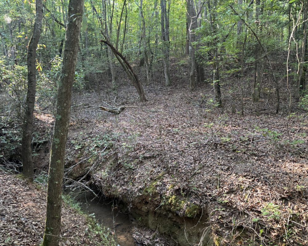 Holiday Dam (23)