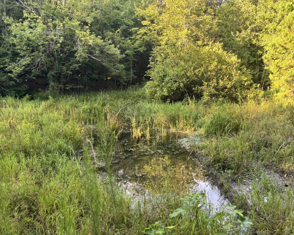 Holiday Dam (26)