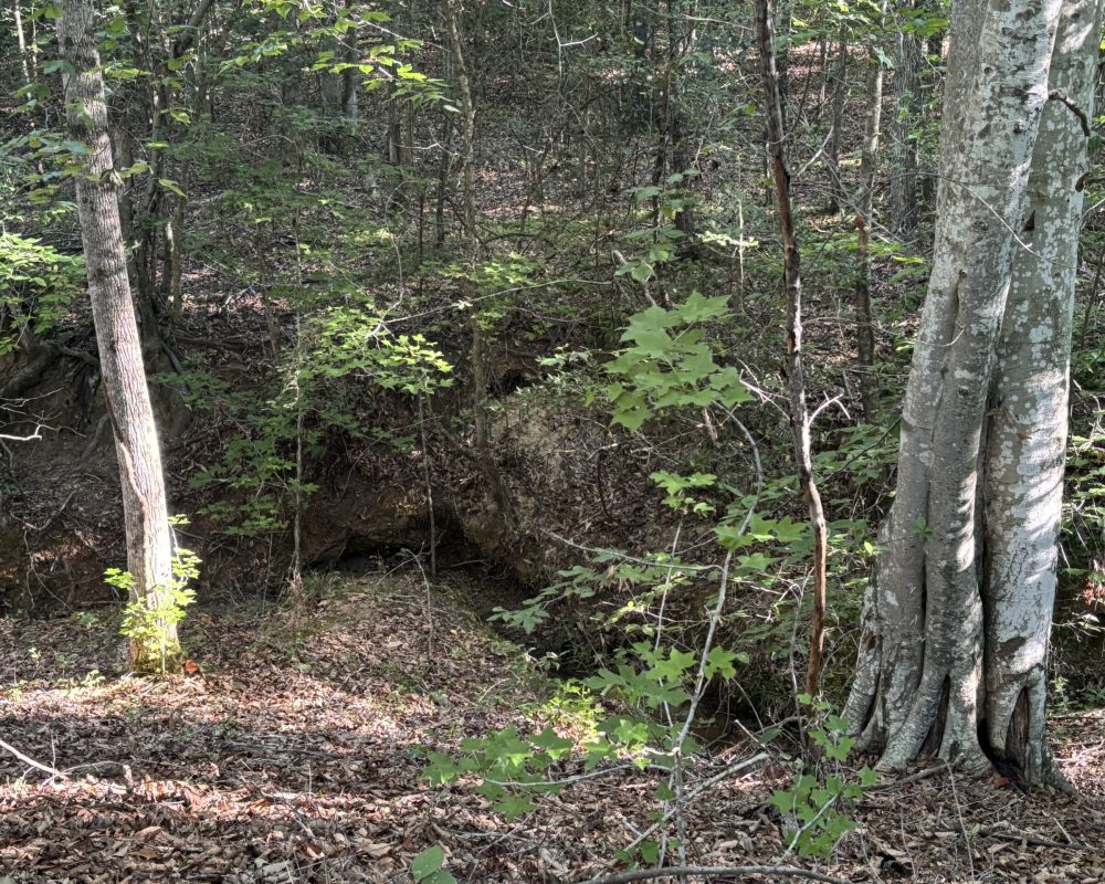 Holiday Dam (35)