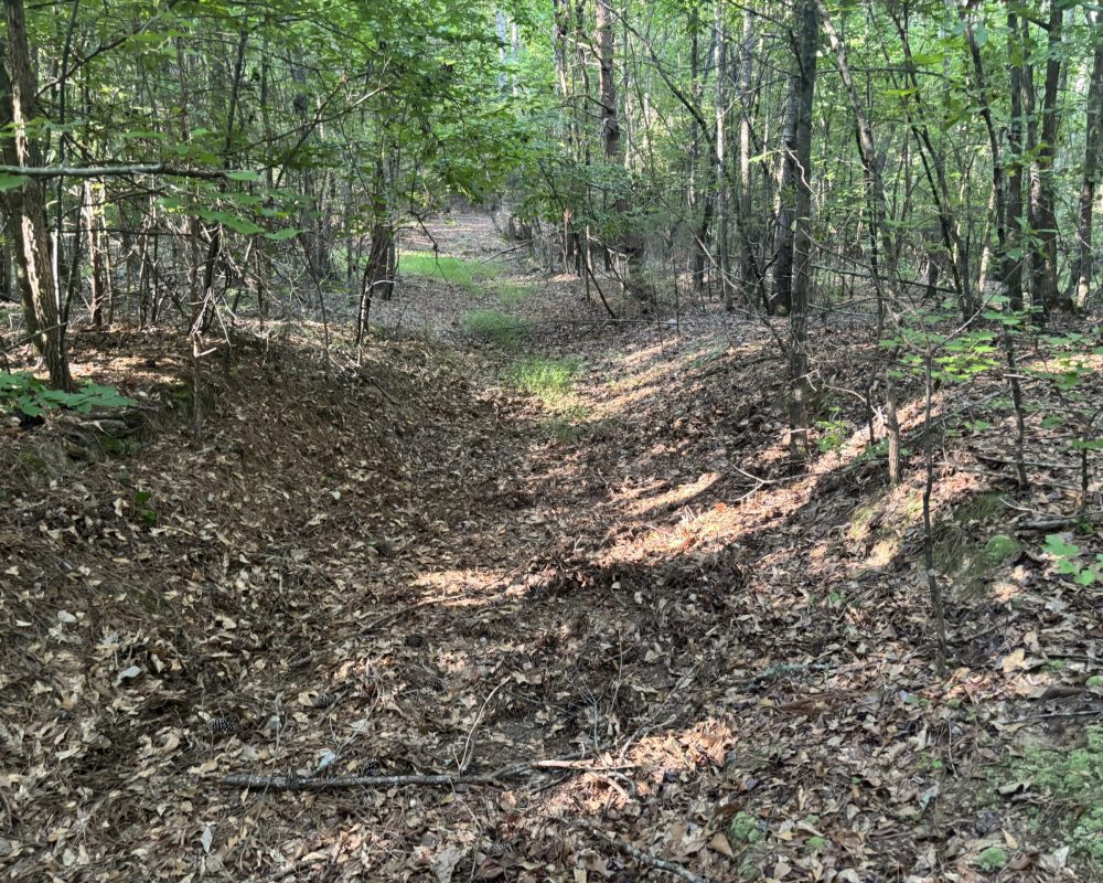 Holiday Dam (38)