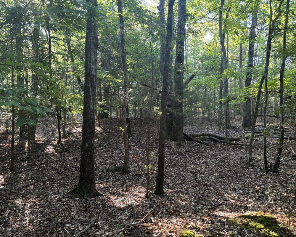 Holiday Dam (40)
