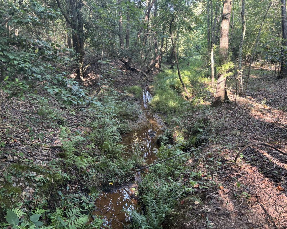 Holiday Dam (43)
