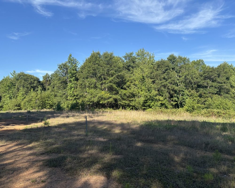 Holiday Dam (48)