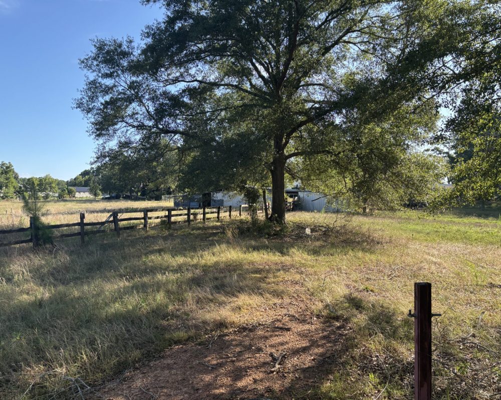 Holiday Dam (49)