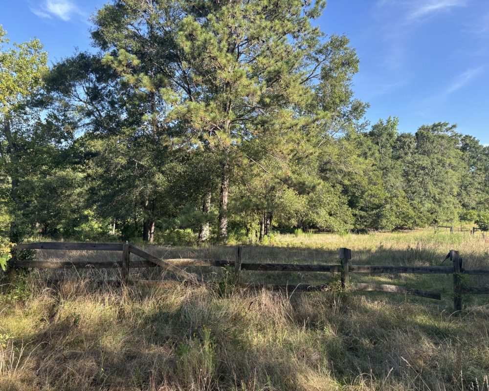 Holiday Dam (50)
